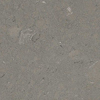 /q quartz/Fossil Gray - Greensboro Exclusive Marble & Granite Greensboro